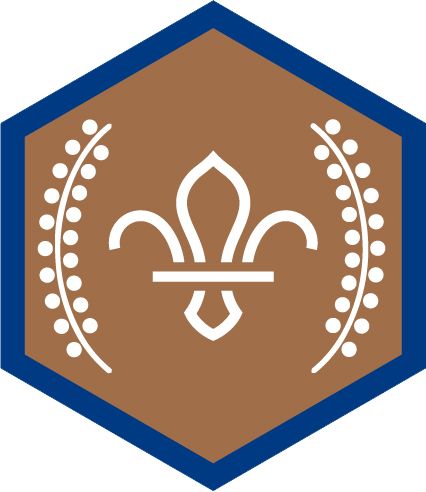 Chief scouts bronze award beavers rgb png