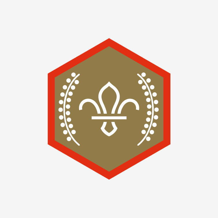 Chief Scout's Gold Award