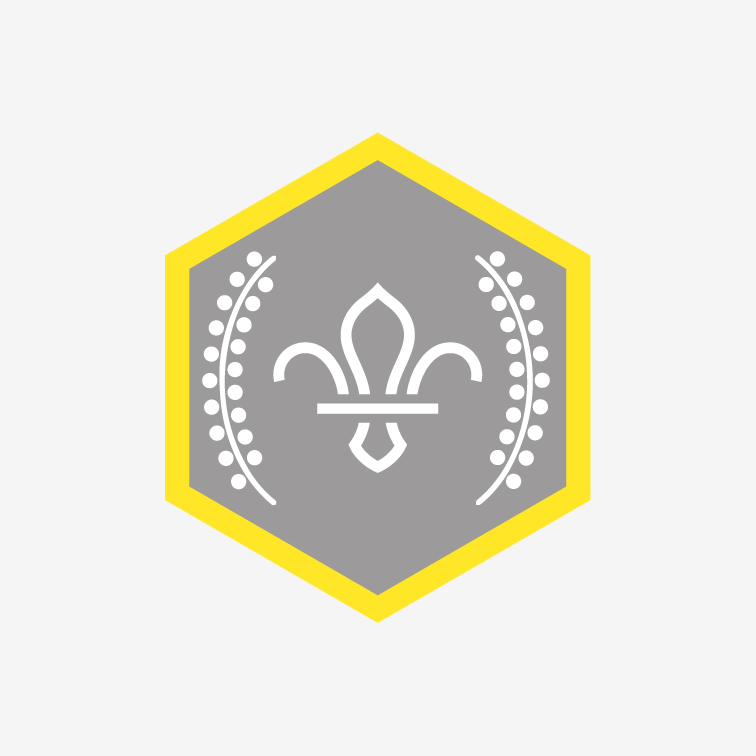 Chief Scout's Silver Award