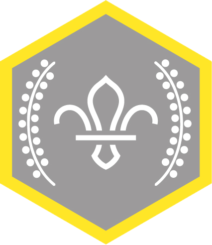 Chief scouts silver award cubs rgb png