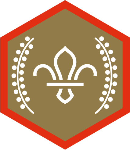 Chief scouts gold award scouts rgb png