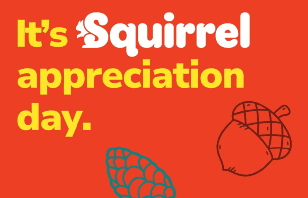 Its Squirrel Appreciation Day