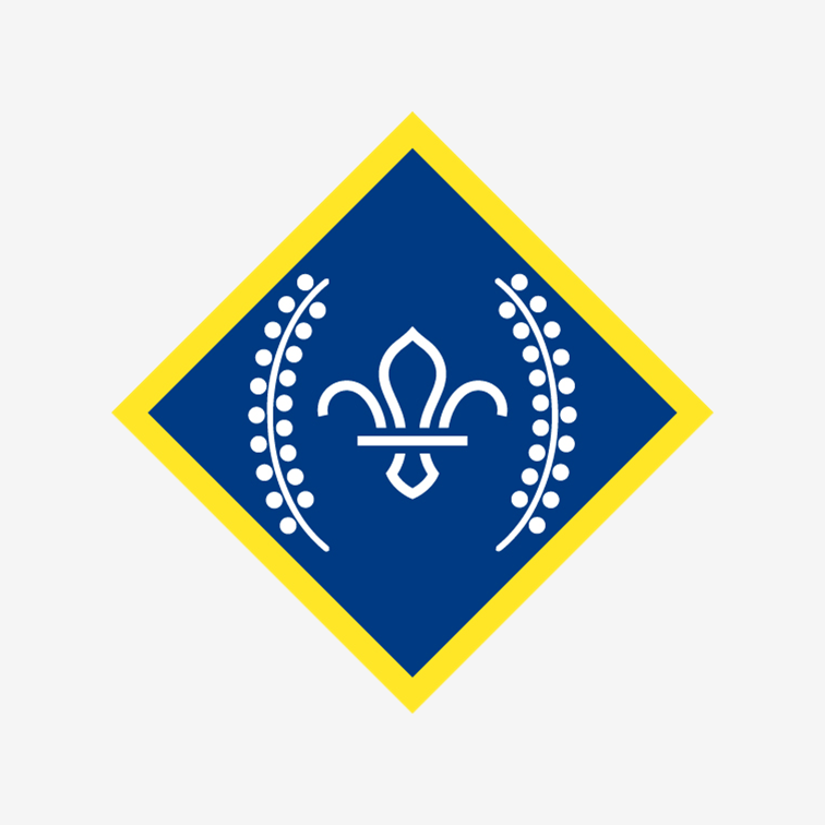 Chief Scout's Platinum Award