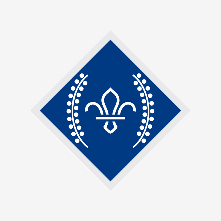 Chief Scout's Diamond Award