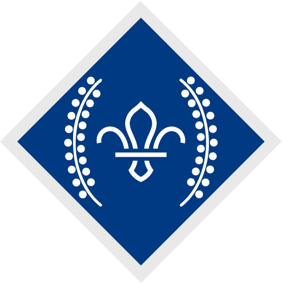 Chief scouts diamond award rgb png