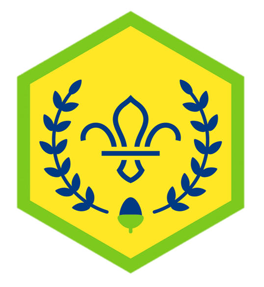 Chief Scouts Acorn