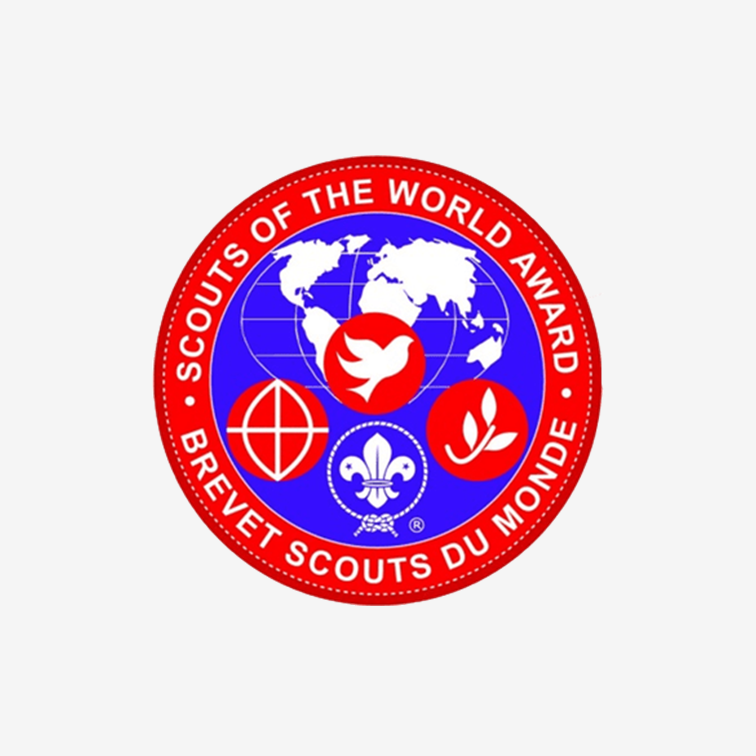 Scout of the World Award